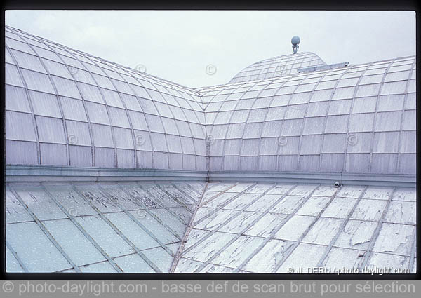 serres royales de Laeken (Bruxelles)
Royal Greenhouses of Laeken (Brussels)